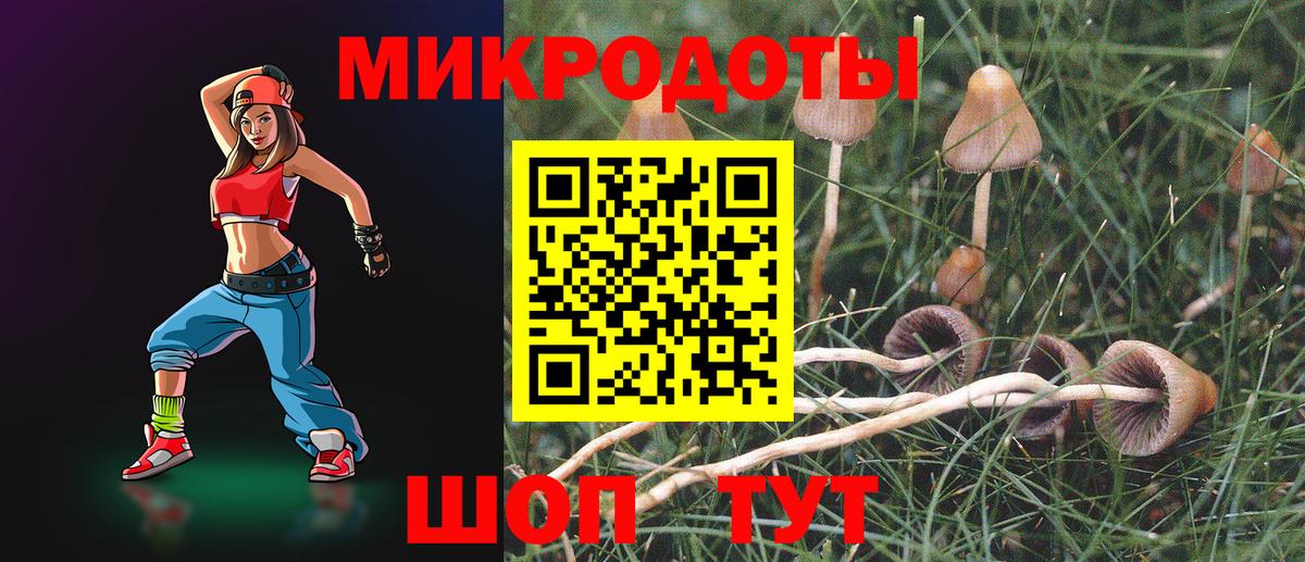 Галлюциногенные грибы мухоморы Луга
