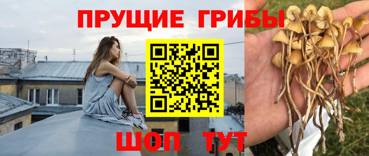 Галлюциногенные грибы прущие грибы  Псилоцибиновые грибы прущие грибы  Вход с VPN  где можно купить   Луга 